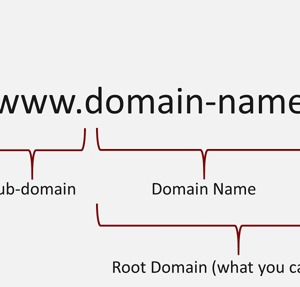 domain name registration